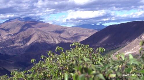 牛油果生产地及风光